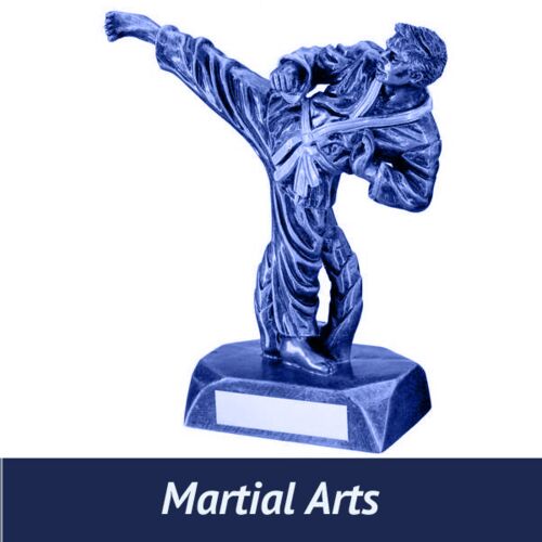 Martial Arts Thumbnail
