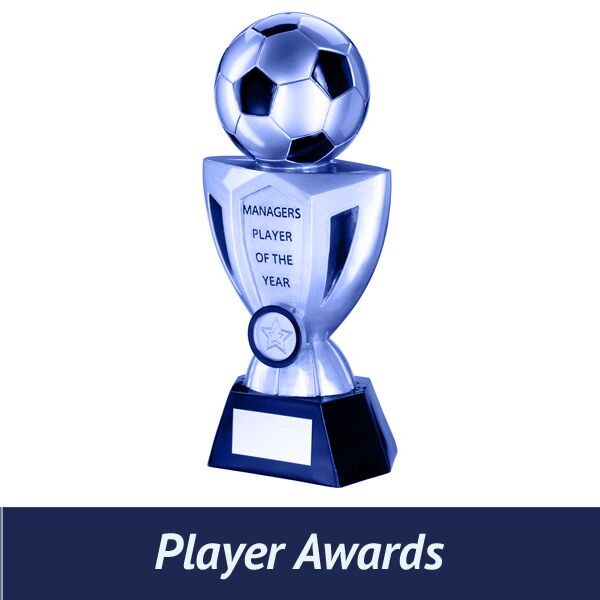 Player Awards Thumbnail