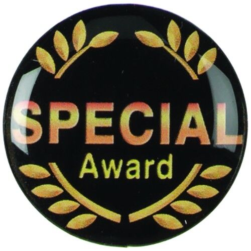 Acrylic Photo Action Centre Special Award - 1" Thumbnail