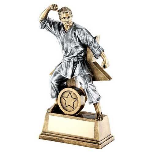 Bronze/Gold/Pew Male Martial Arts Figure With Star Backing And Plate  - 9" Thumbnail