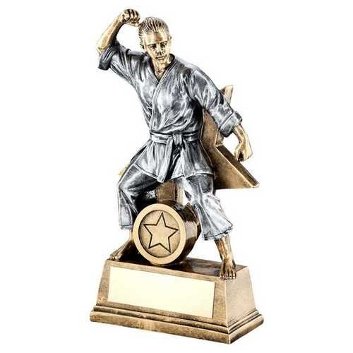 Bronze/Gold/Pew Female Martial Arts Figure With Star Back And Plate  - 9" Thumbnail