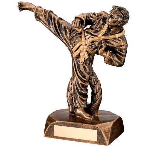 Bronze/Gold Resin Karate Figure With Plate - 6.5" Thumbnail