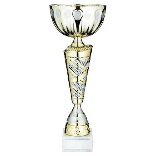 Gold/Matt Silv Trophy Cup With Plate - 13" Thumbnail