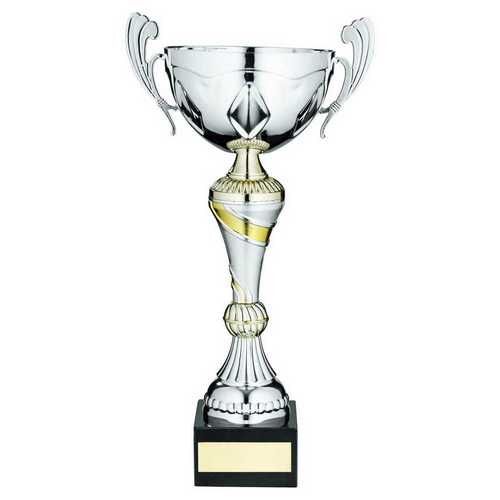 Silver/Gold Trophy Cup With Handles And Plate - 11" Thumbnail