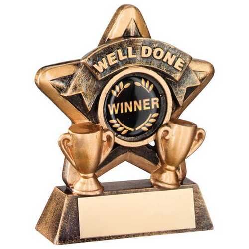 Mini Star 'Well Done' With Plate - Bronze/Gold Well Done  3.75" Thumbnail