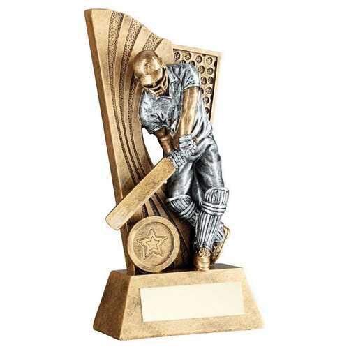 Brz/Pew Male Cricket Batsman On Backdrop With Plate - 9.25" Thumbnail