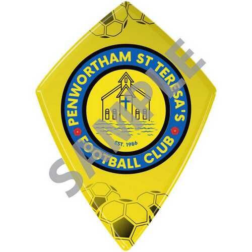 Special Diamond Shape Disc 100Mm X 72Mm Thumbnail