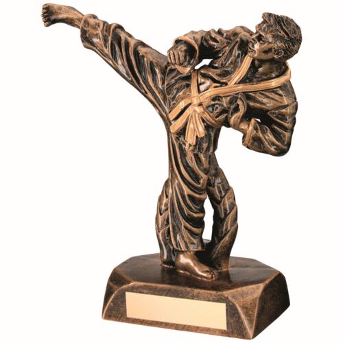 Bronze/Gold Resin Karate Figure With Plate - 7.5" Thumbnail