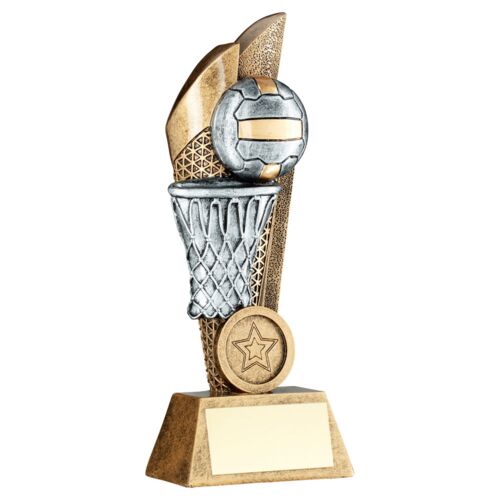 Bronze/Pewter/Gold Netball And Net On Mesh Backdrop With Plate - 6" Thumbnail