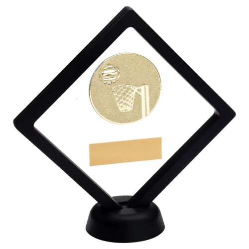 Black/Clear Plastic Box With Netball Insert Trophy - Gold 6" Thumbnail