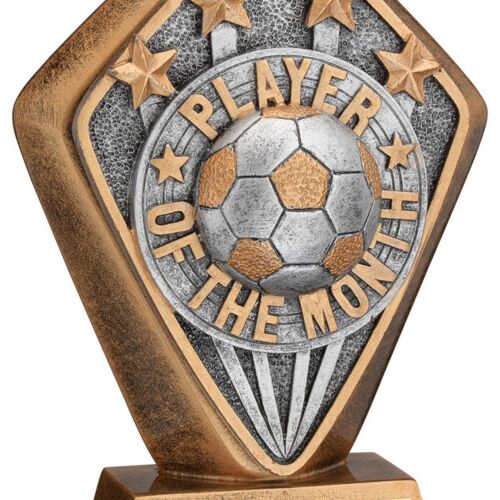 Brz/Gold Diamond Holder With 'Player Of The Month' Disc And Plate - 5.25" Thumbnail