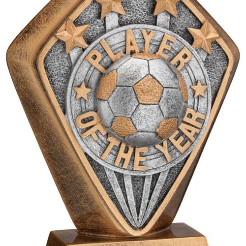 Brz/Gold Diamond Holder With 'Player Of The Year' Disc And Plate - 5.25" Thumbnail