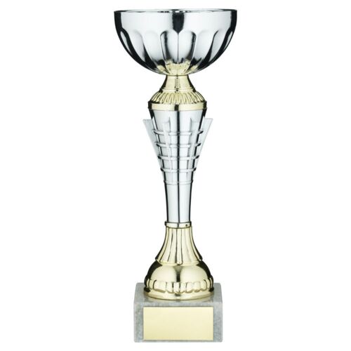 Silv/Gold  Spiro Trophy Cup With Plate - 10.75" Thumbnail