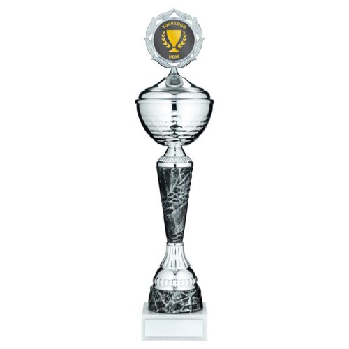 Silv/Pewter Trophy Cup With Lid With Plate - 18" Thumbnail