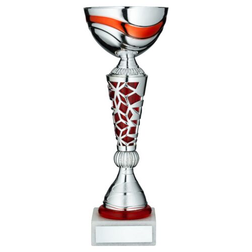 Silver/Red Trophy Cup With Plate - 11" Thumbnail