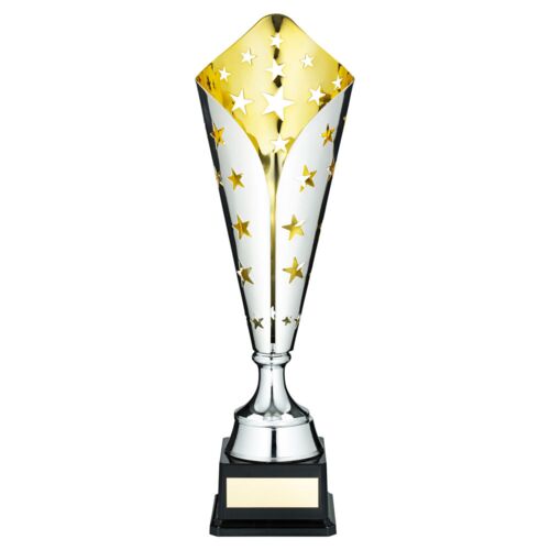 Silver/Gold Metal Star Trophy Cup With Plate - 18.25" Thumbnail