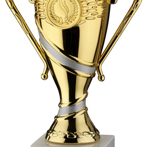 Gold/Matt Silver Plastic Trophy Cup With Plate - 4.75" Thumbnail