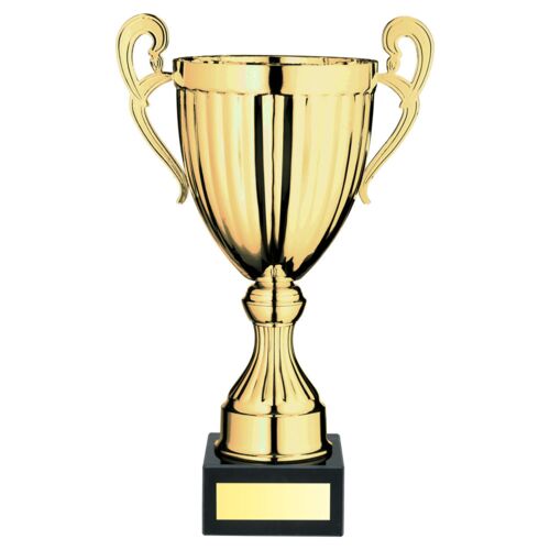 Gold Conical Trophy Cup With Handles And Plate - 13.75" Thumbnail