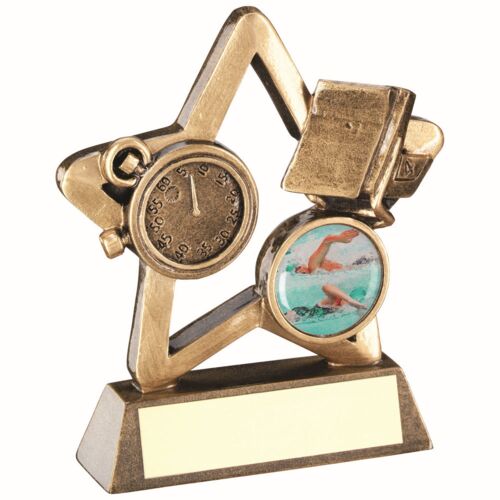 Bronze/Gold Swimming Mini Star With Plate -  4.25" Thumbnail