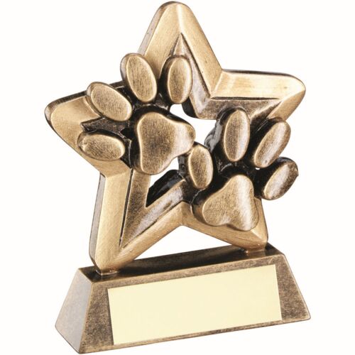 Bronze/Gold Dog Paws With Plate Mini Star With Plate - 3.75" Thumbnail