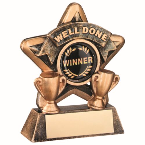 Mini Star 'Well Done' With Plate - Bronze/Gold Well Done  3.75" Thumbnail