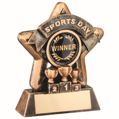 Mini Star 'Sports Day' With Plate - Bronze/Gold Sports Day  3.75" Thumbnail
