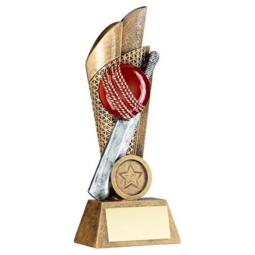 Brz/Pew/Gold Cricket Ball And Bat On Mesh Backdrop With Plate - 7.25" Thumbnail