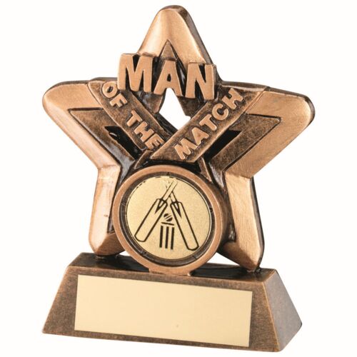 Bronze/Gold Man Of The Match Mini Star With Cricket Insert And Plate - 3.75" Thumbnail