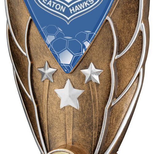 Brz/Silv Special Diamond Column & Plate (Sp-Diamond Centre) - 6.75" Thumbnail