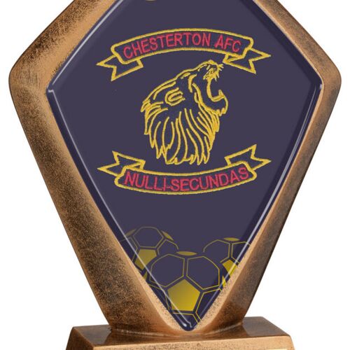 Brz/Gold Special Diamond Holder And Plate (Sp-Diamond Centre) - 5.25" Thumbnail