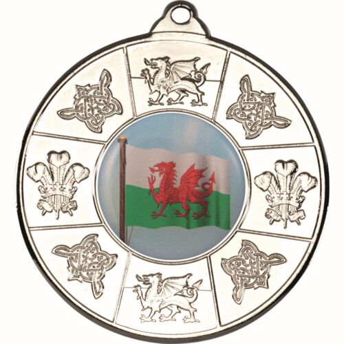 Scotland Medal  - Silver 2" Thumbnail