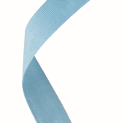 Medal Ribbon Light Blue Thumbnail
