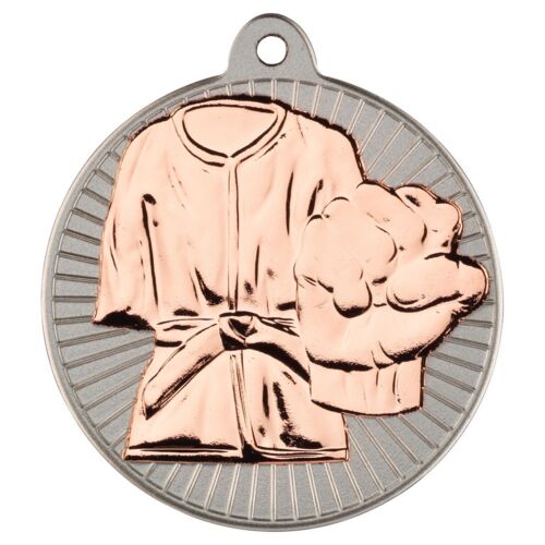 Martial Arts 'Two Colour' Medal - Matt Silver/Bronze 2" Thumbnail