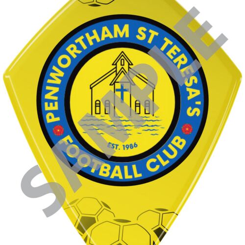 Special Diamond Shape Disc 100Mm X 72Mm Thumbnail