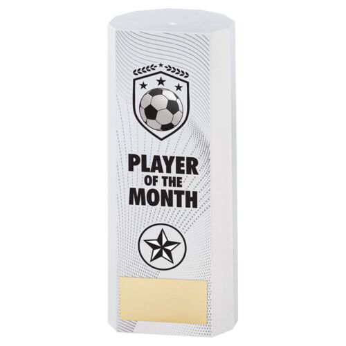 White Plastic Filled Column Football Player Of The Month (1In Cen) - 6In Thumbnail