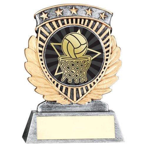 Pew/Gold 5 Star Holder With Vinyl Netball Insert & Plate - 4.5In Thumbnail