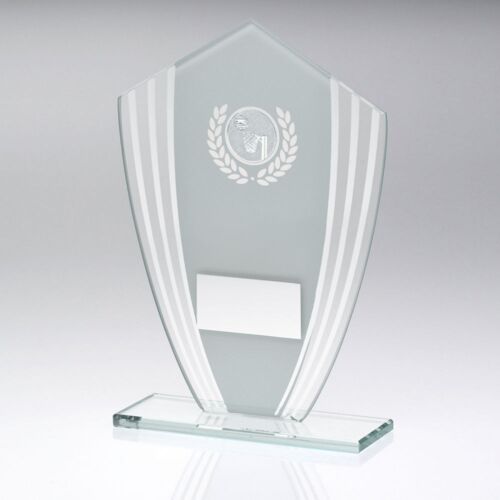 White/Silver Glass Shield Plaque With Netball Insert & Plate - 7.25In Thumbnail