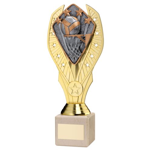 Gold Plastic Holder + Netball Disc On Cream Marble Trophy (1In Cen) - 7.75In Thumbnail