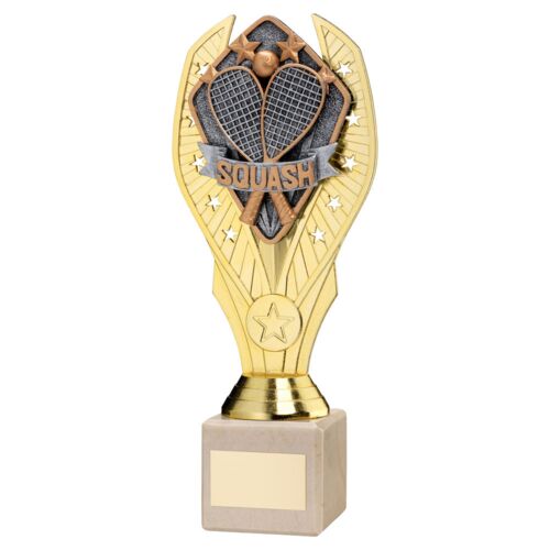 Gold Plastic Holder + Squash Disc On Cream Marble Trophy (1In Cen) - 9In Thumbnail
