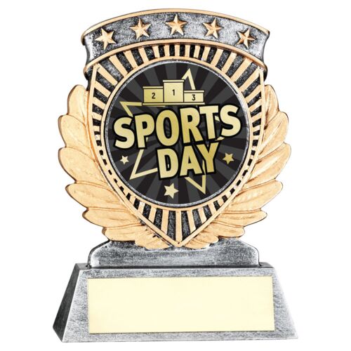 Pew/Gold 5 Star Holder With Vinyl Sports Day Insert & Plate - 4.5In Thumbnail