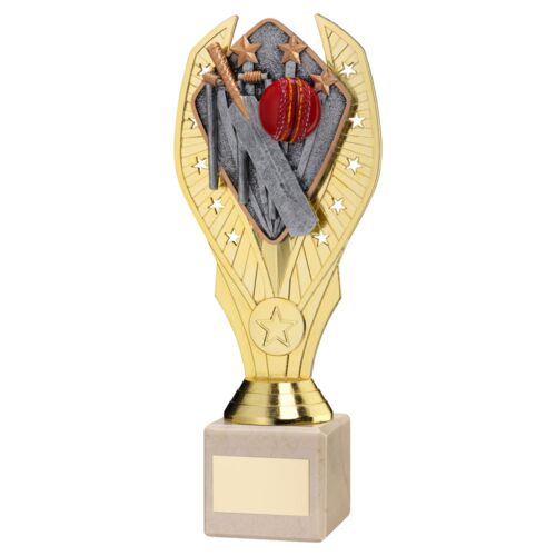 Gold Plastic Holder + Cricket Disc On Cream Marble Trophy (1In Cen) - 9In Thumbnail