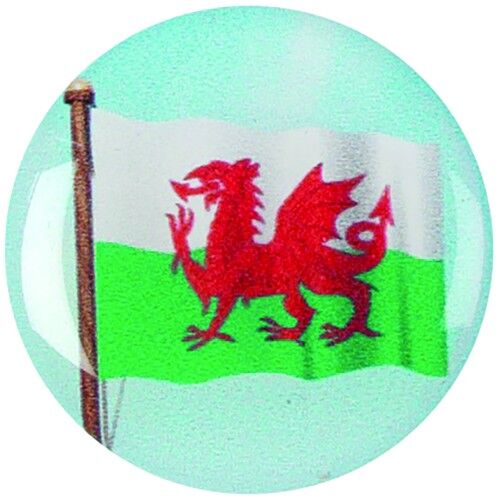 Acrylic Photo Action Centre Wales Flag - 1" Thumbnail