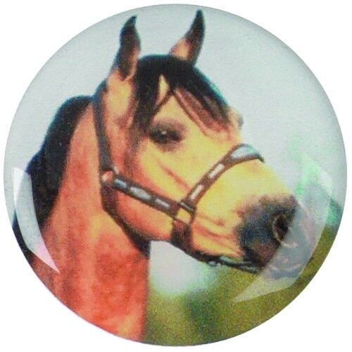 Acrylic Photo Action Centre Horsehead - 1" Thumbnail